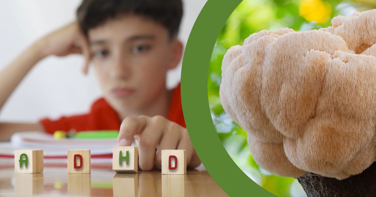 Hericium prirodný prostriedok na pomocs s ADHD